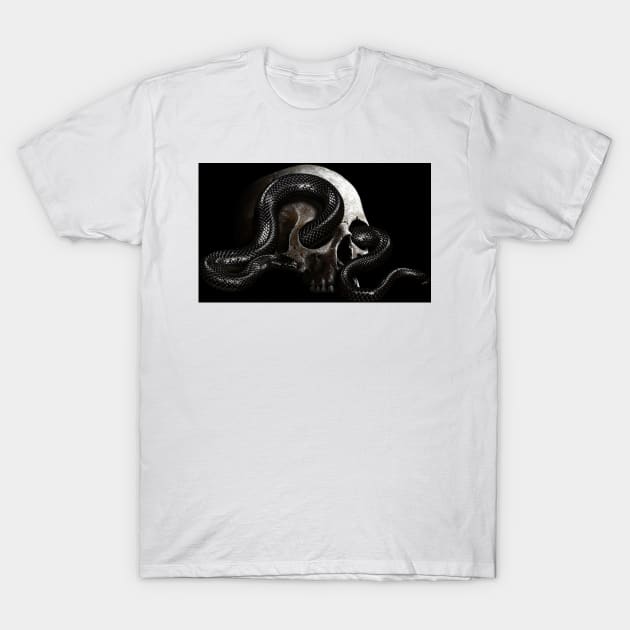 Skull sneak T-Shirt by Ernstar 